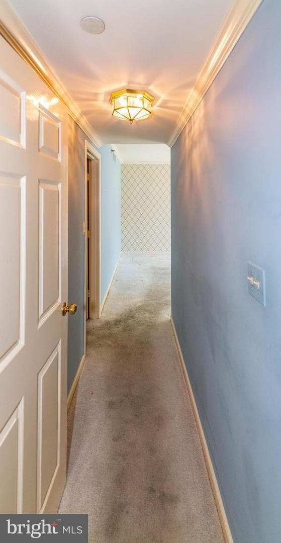 2331 Old Court Road #214 photo 17
