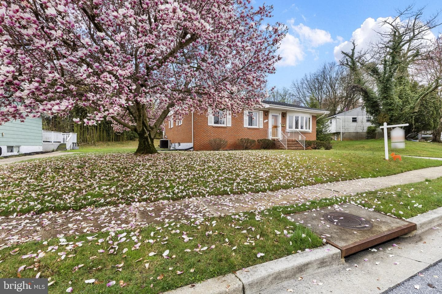 8701 Allenswood Road photo 2