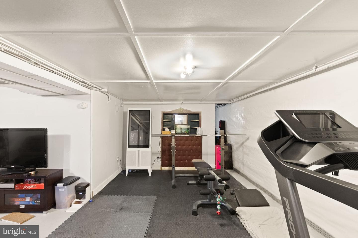 12 Elinor Avenue photo 19