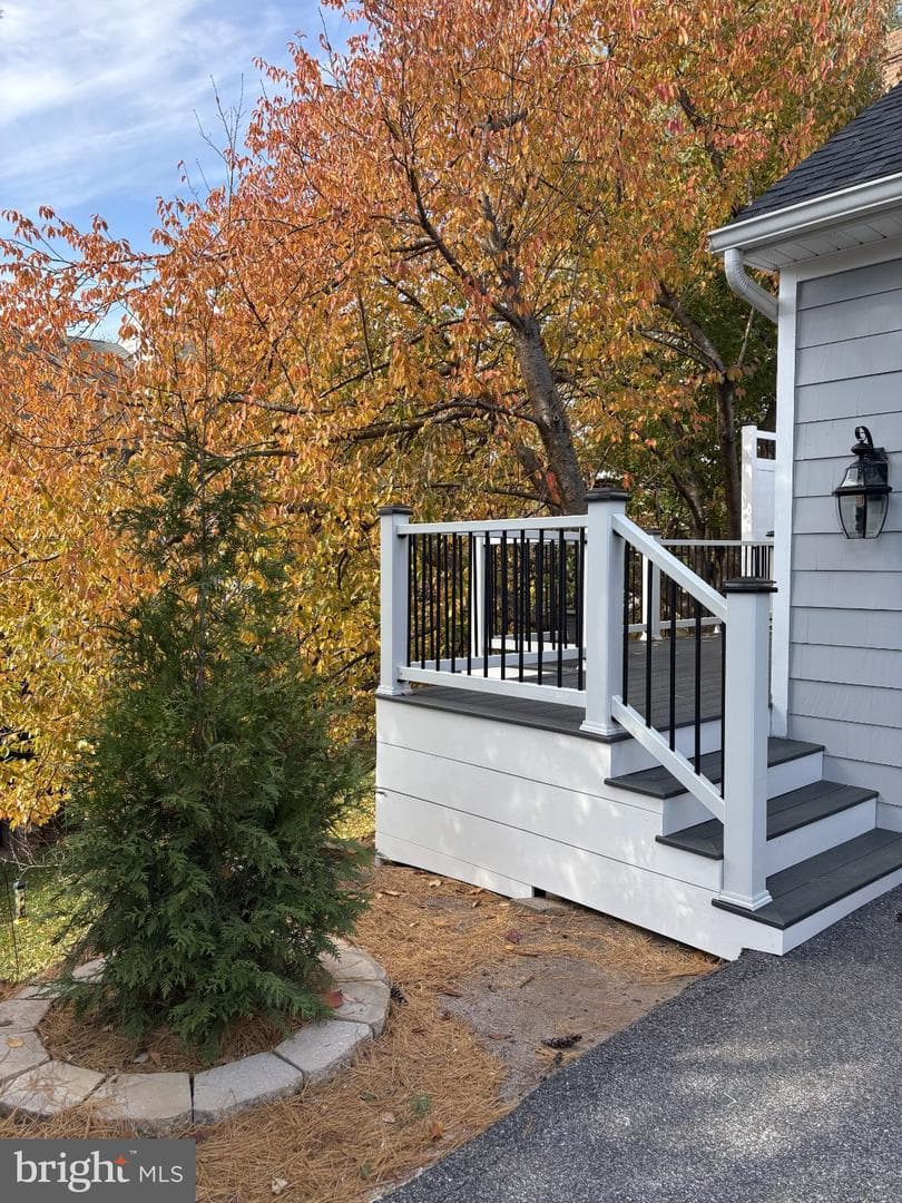 219 Ashland Road photo 57