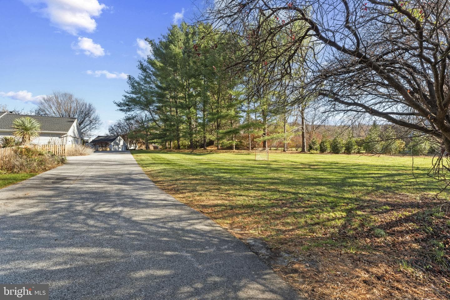 219 Ashland Road photo 58