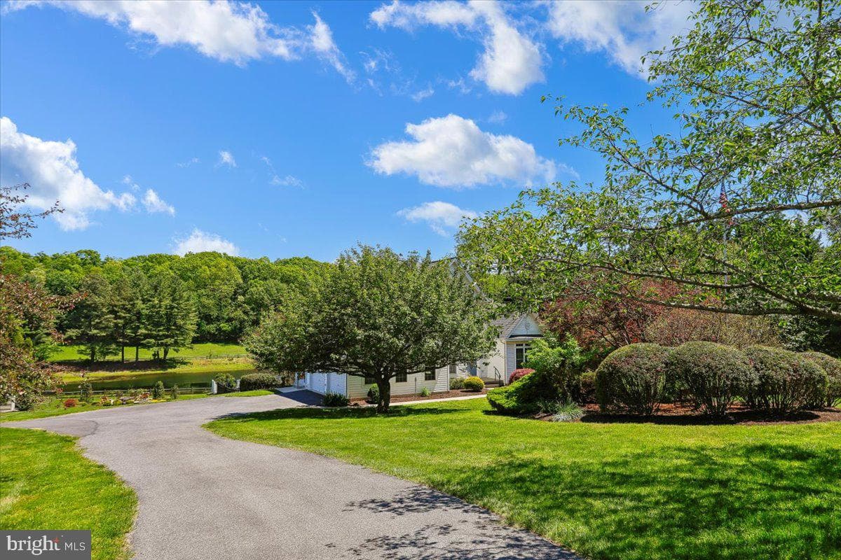 1203 Dairy Rd photo 7