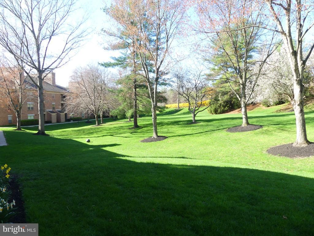 14206 Dove Creek Way #103 photo 13