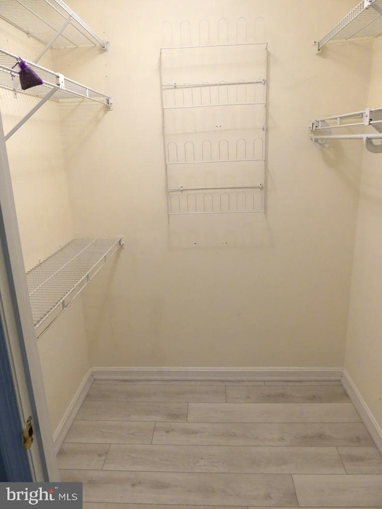 14206 Dove Creek Way #103 photo 16