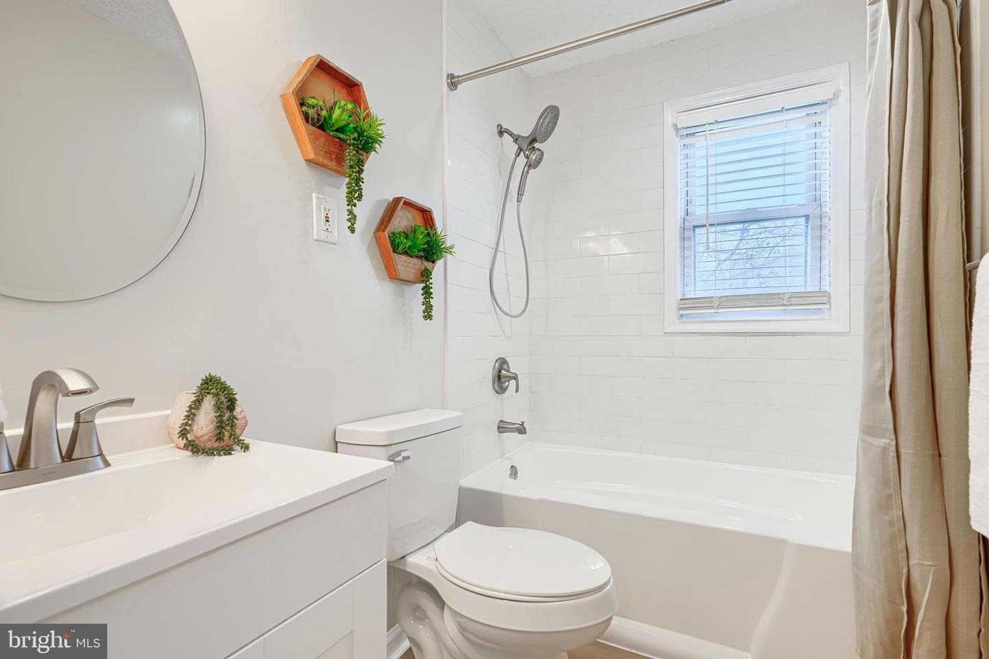 774 Seawall photo 20