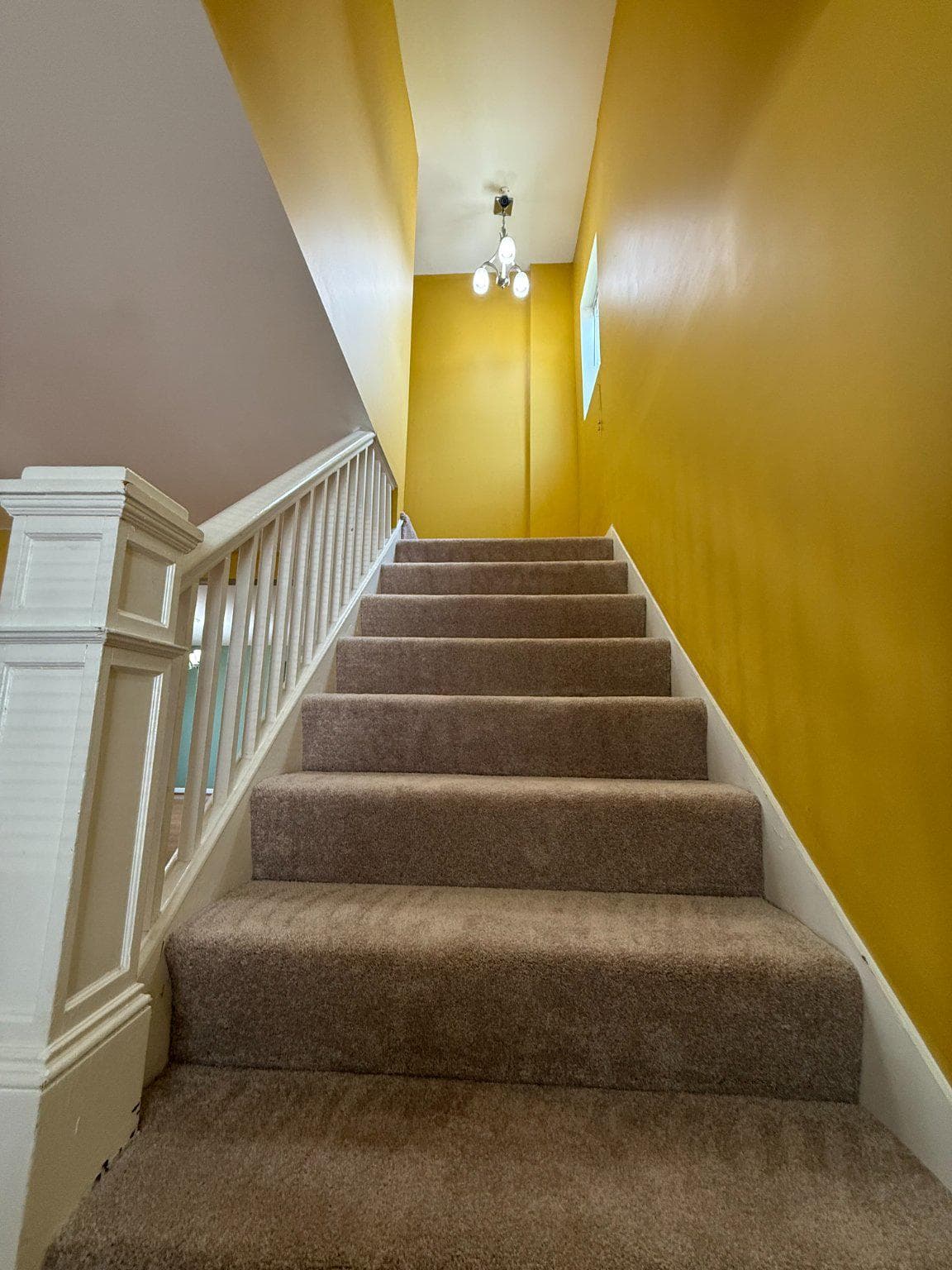 123 Winters Ln photo 10