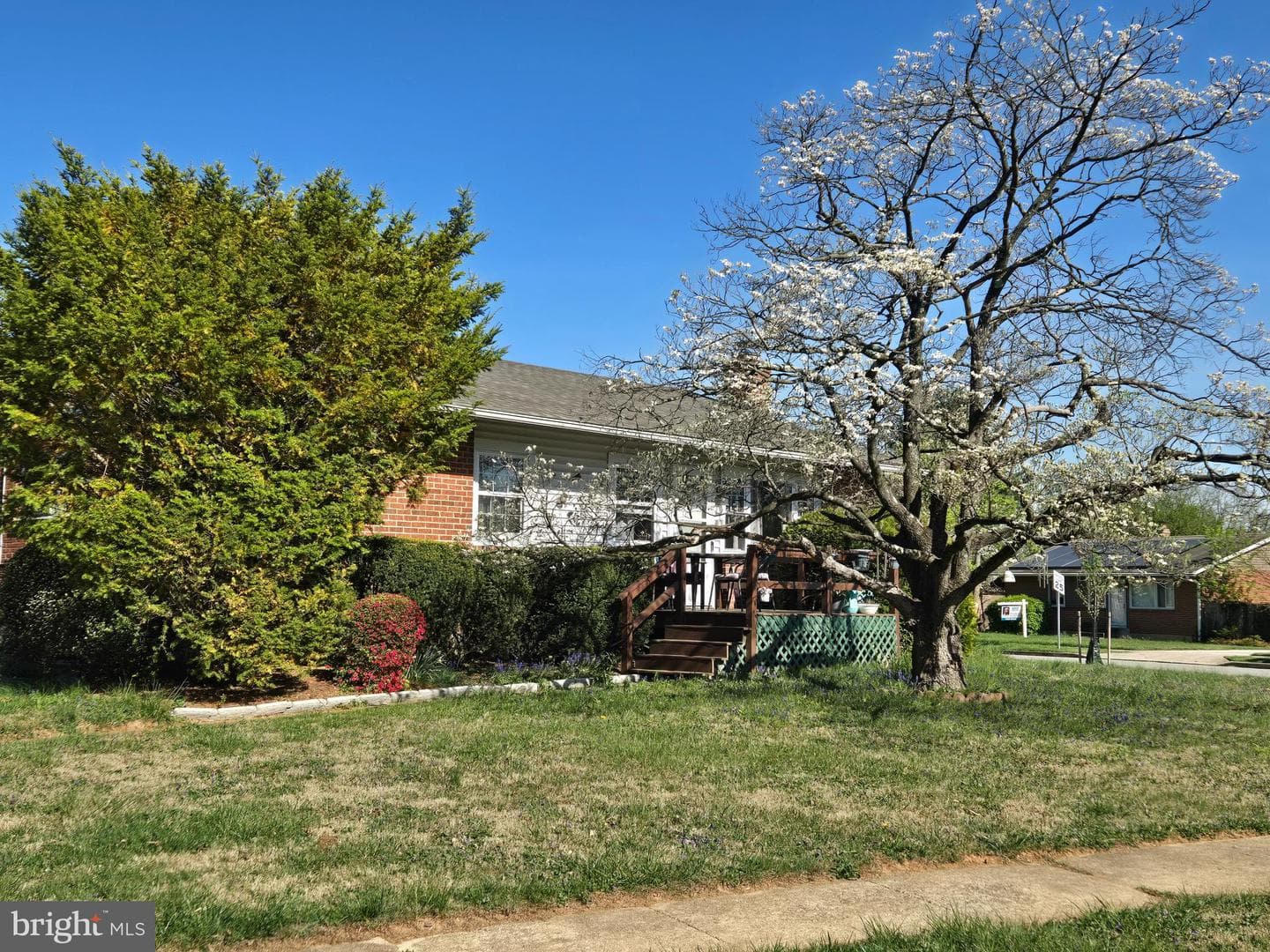 905 Lindellen Avenue photo 6