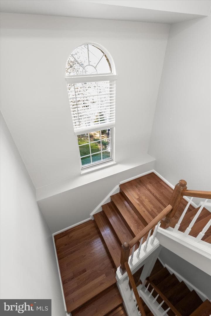 11936 Thurloe Drive photo 38