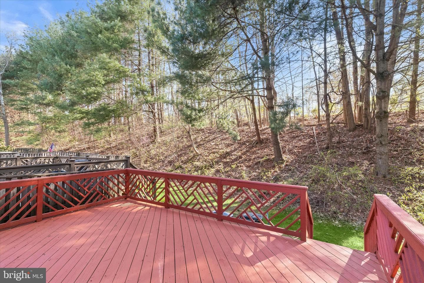 11936 Thurloe Drive photo 45