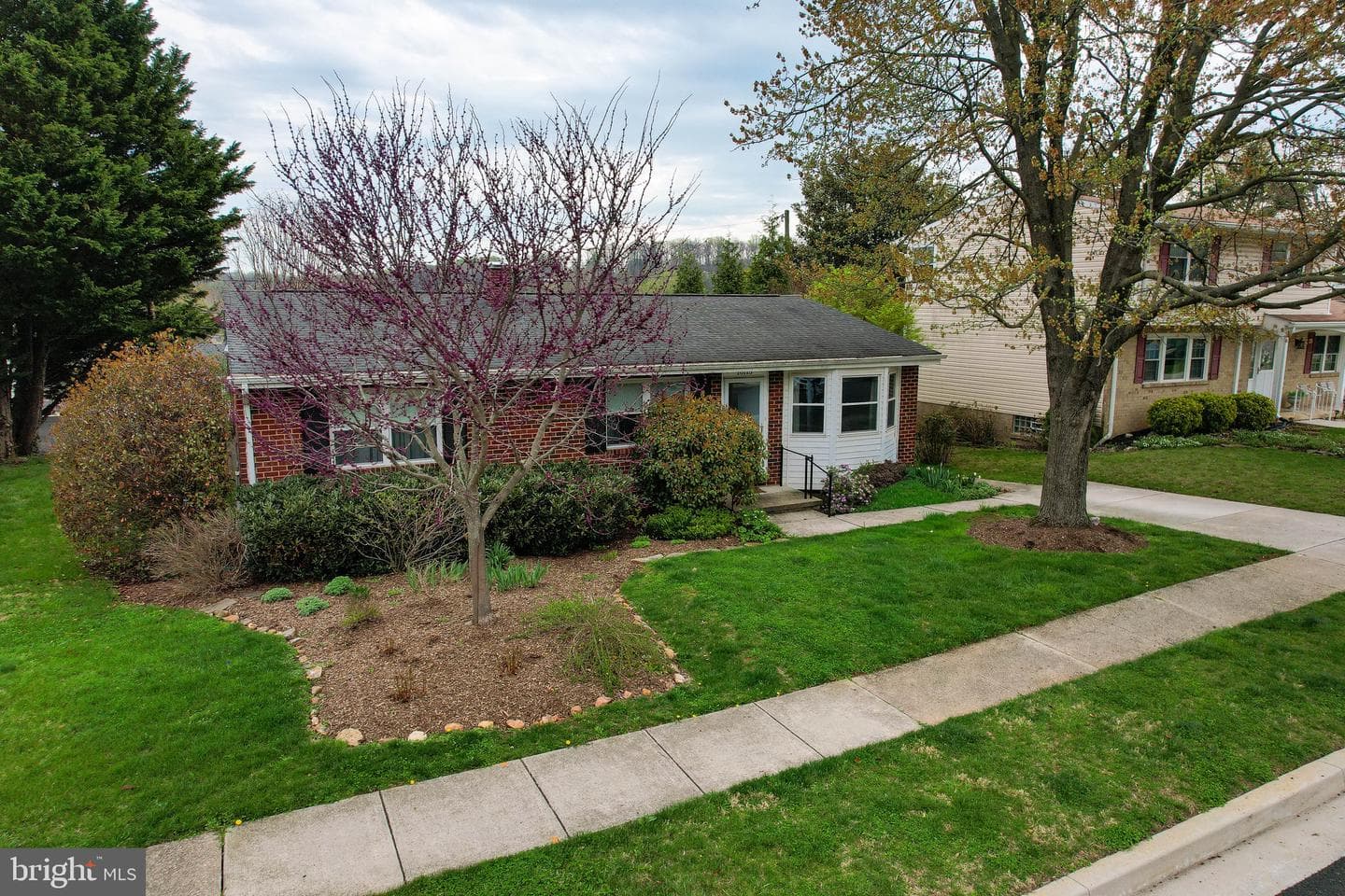 10113 Daventry Drive photo 47