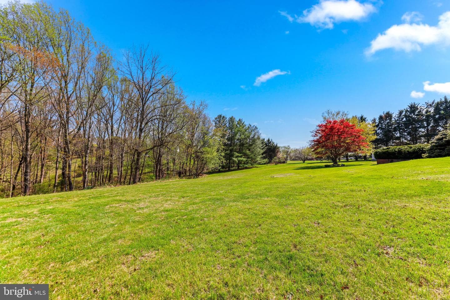 629 Coachmans Way photo 47