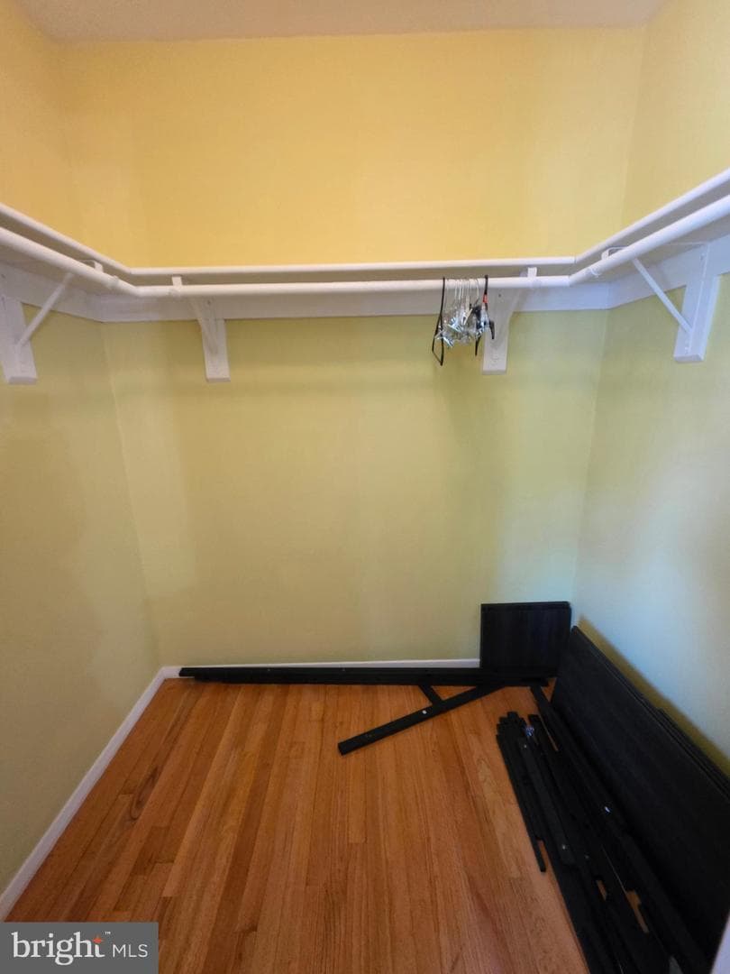 10 Casey Court photo 26