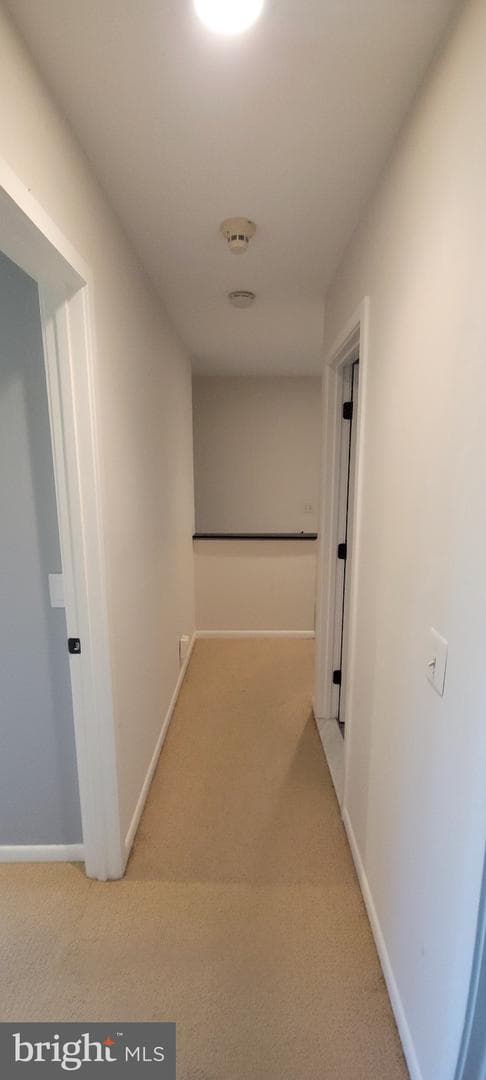 3752 Spring Lake Lane photo 12