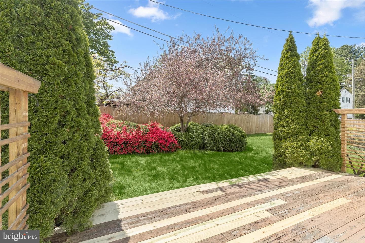 11610 Terry Town Drive photo 42