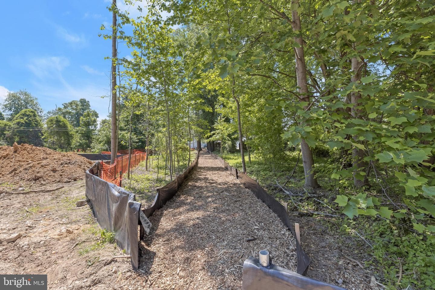 721 Nollmeyer Road photo 5