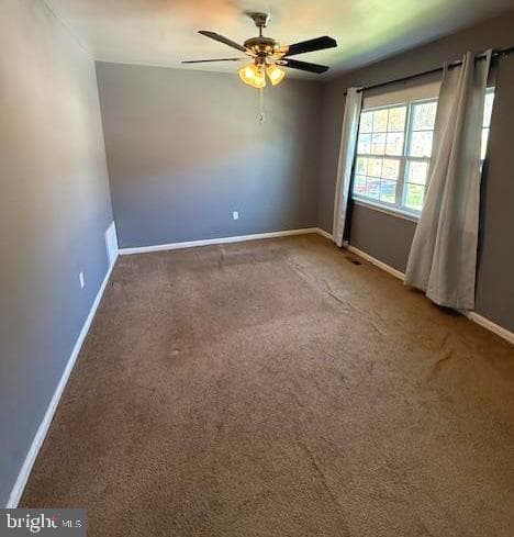 9617 Axehead Court photo 16
