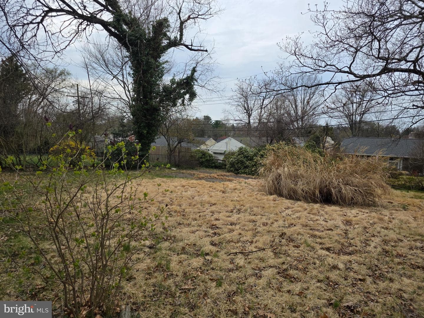 7512 Rocksham Drive photo 4