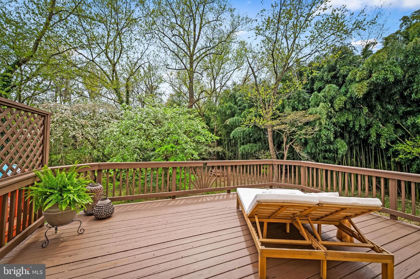 1 Winterberry Court photo 11