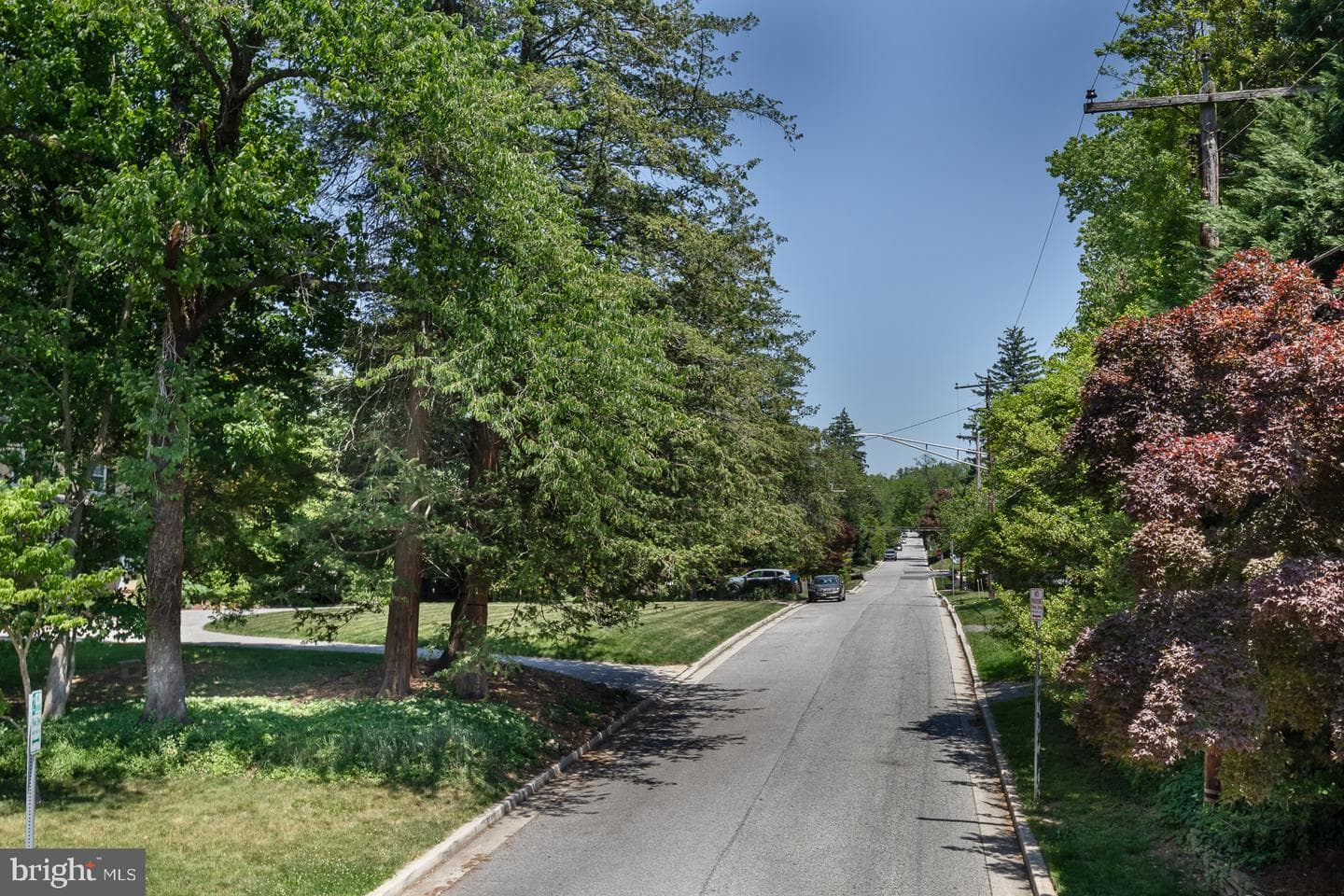 571 Woodbine Ave photo 25