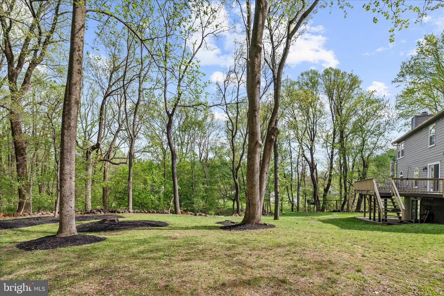 3904 Thoroughbred Lane photo 74