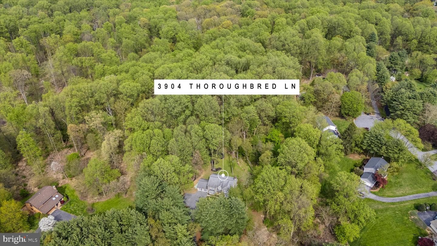 3904 Thoroughbred Lane photo 86