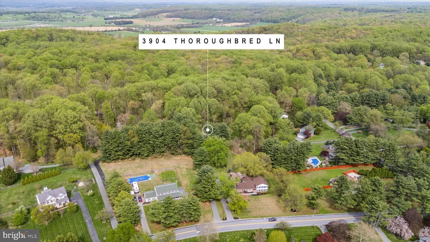 3904 Thoroughbred Lane photo 87
