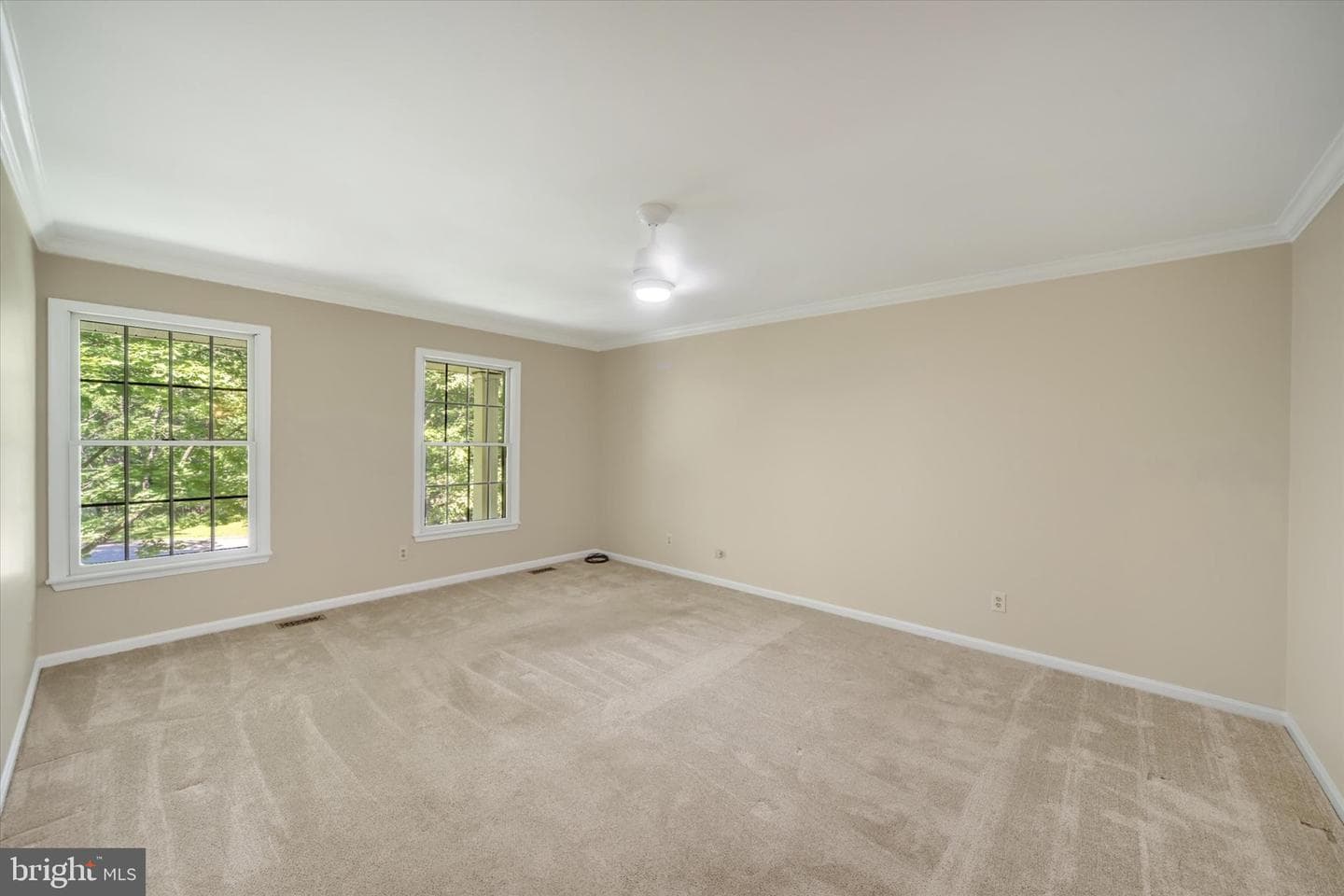 13 Constantine Drive photo 42