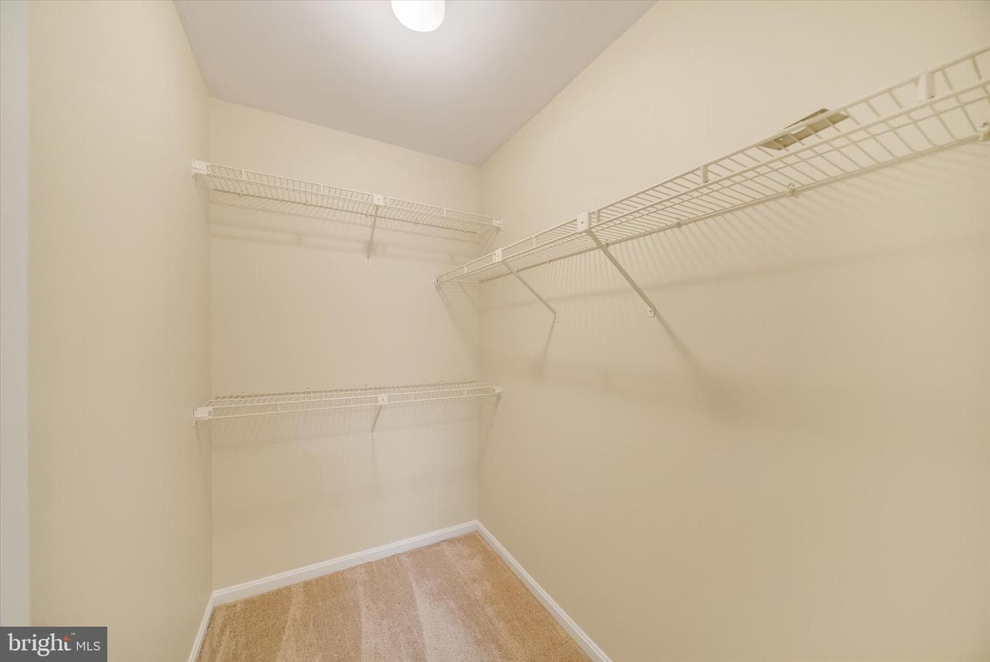 13 Constantine Drive photo 48