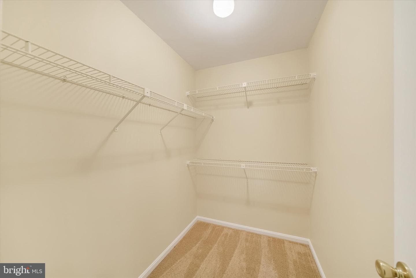 13 Constantine Drive photo 49