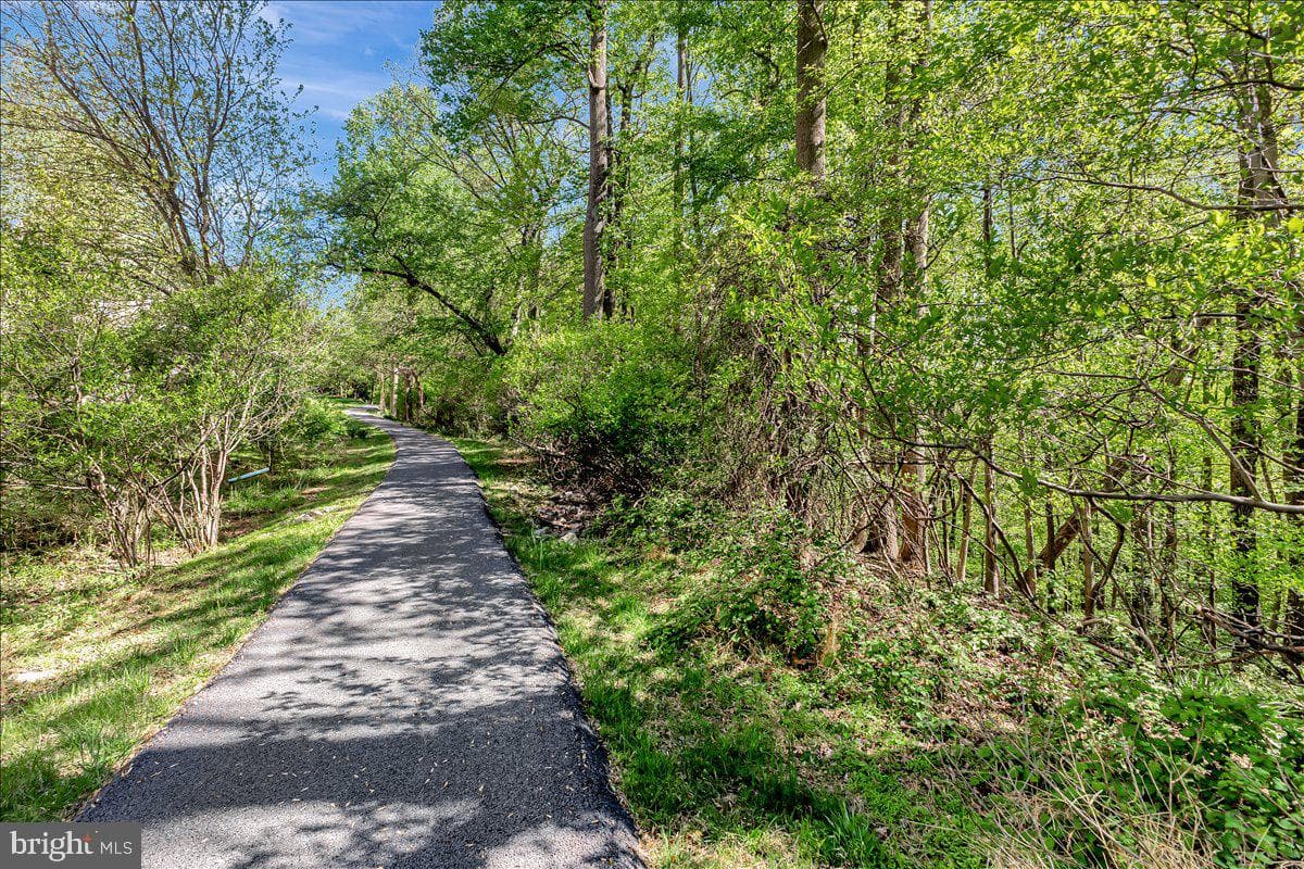 12310 Rosslare Ridge Road #501 photo 46