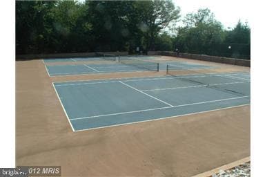 1 High Stepper Court #602 photo 25
