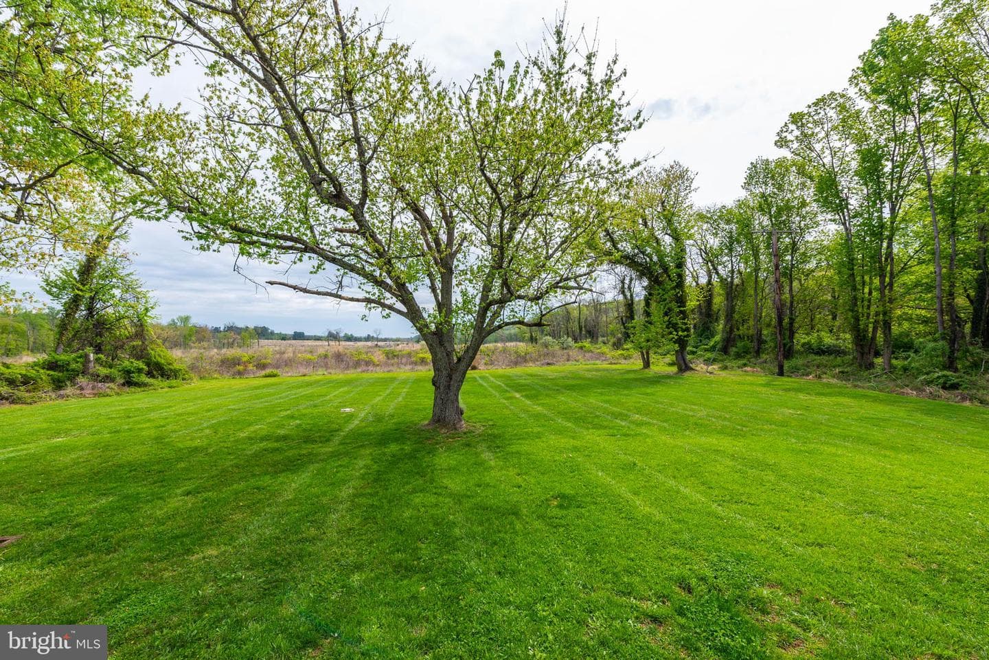 2705 Spring Hill Road photo 30