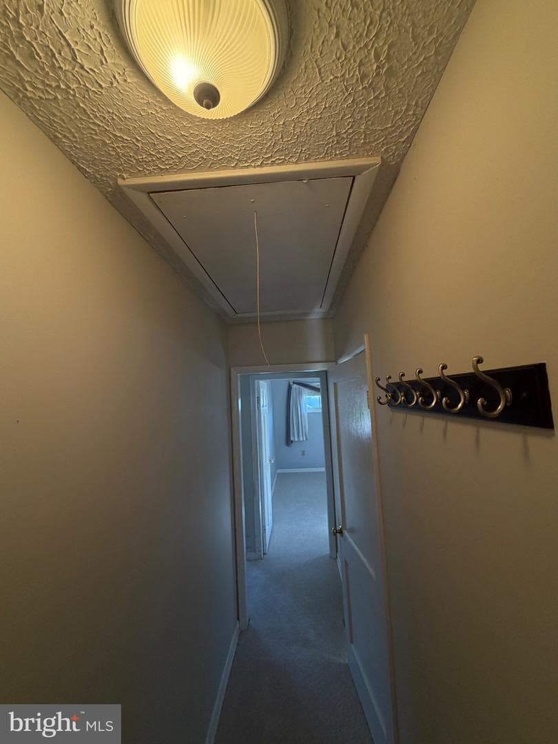 8716 Stockwell Road photo 9