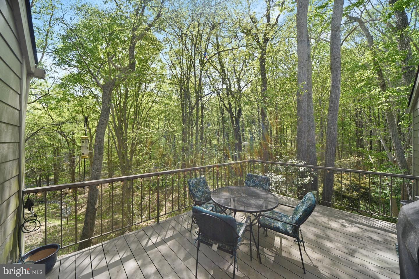 123 Beech Bark Lane #12 photo 45