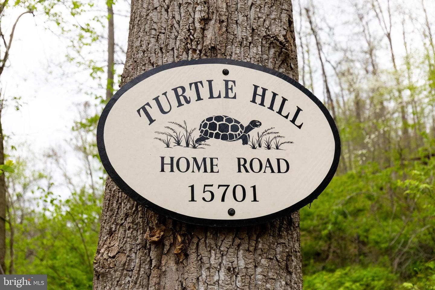 15701 Home Road photo 3