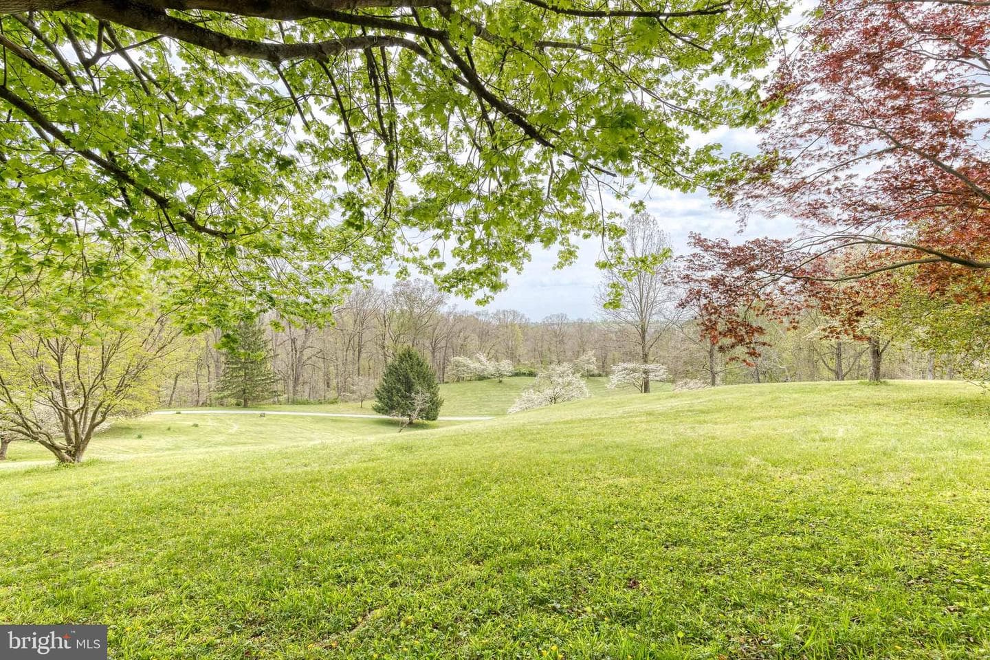 15701 Home Road photo 67