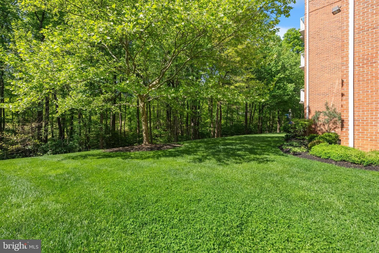 12105 Tullamore Ct #204 photo 5