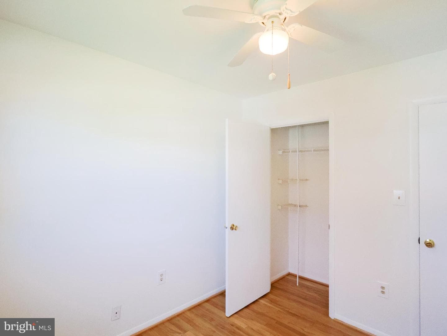 7 Francine Court photo 19