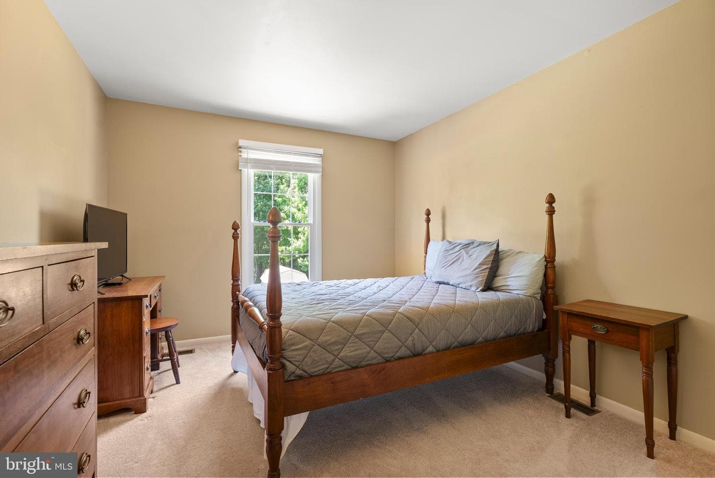 3913 Esgarth Way photo 20