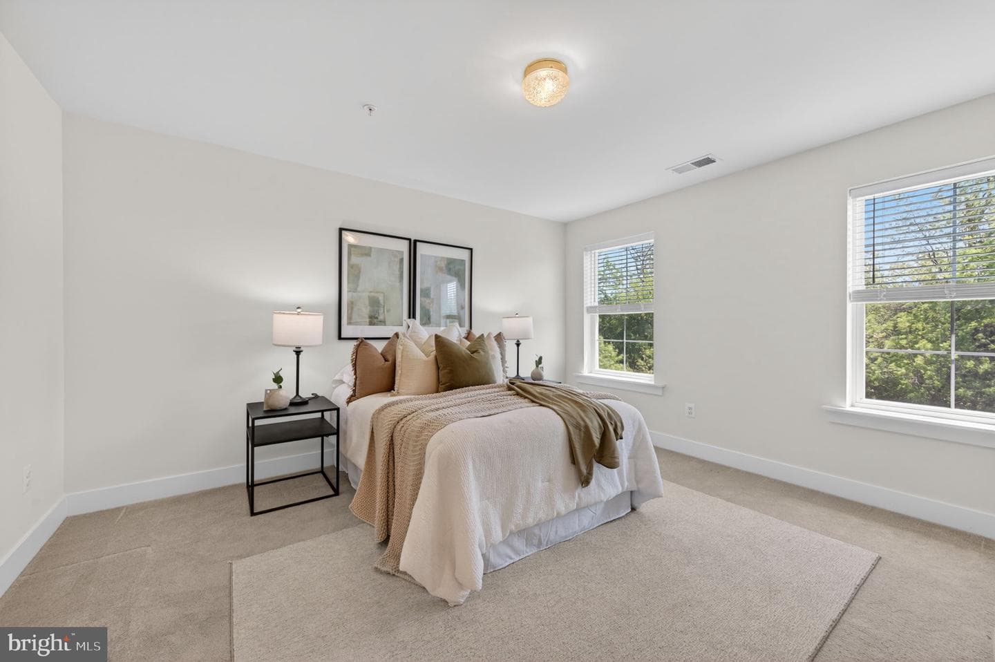 10047 Whitaker Way photo 19