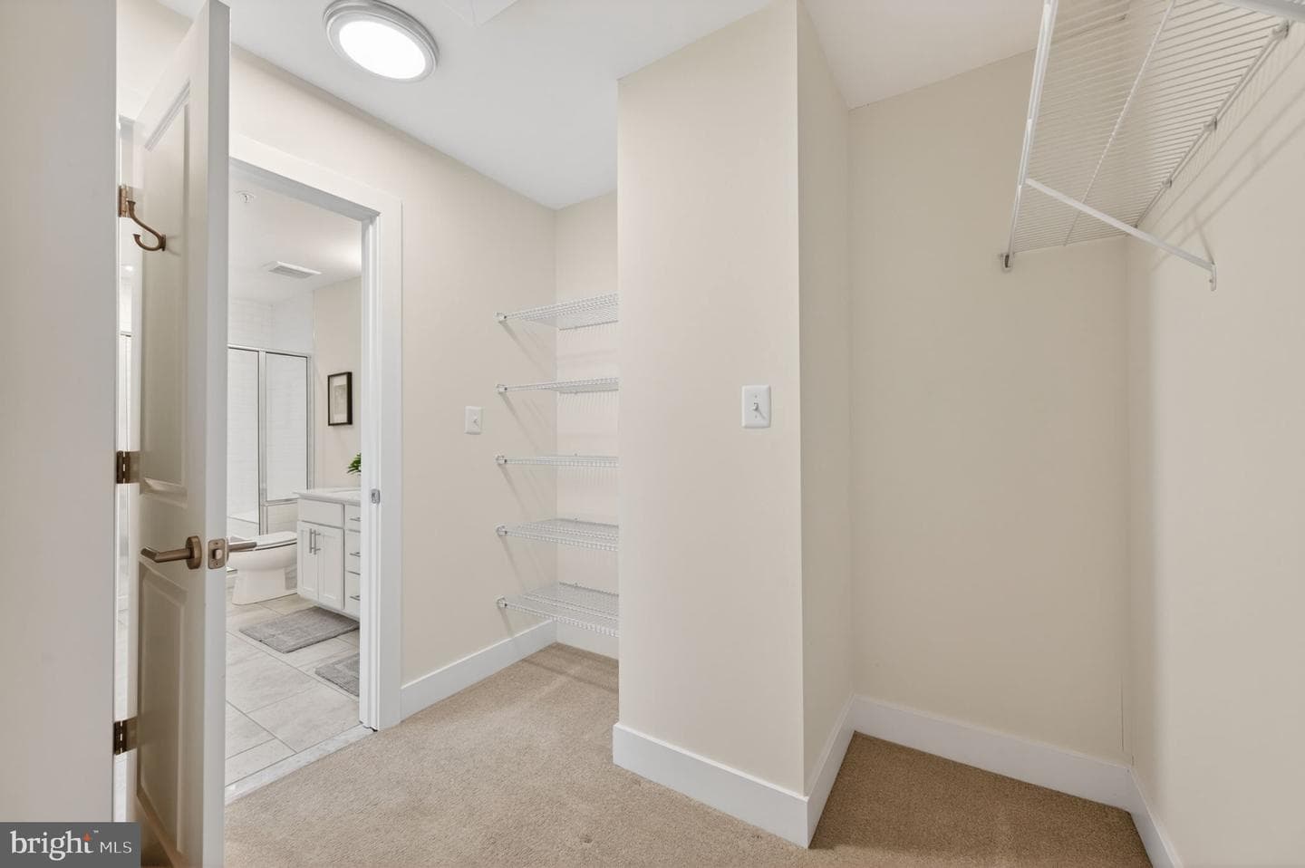 10047 Whitaker Way photo 27