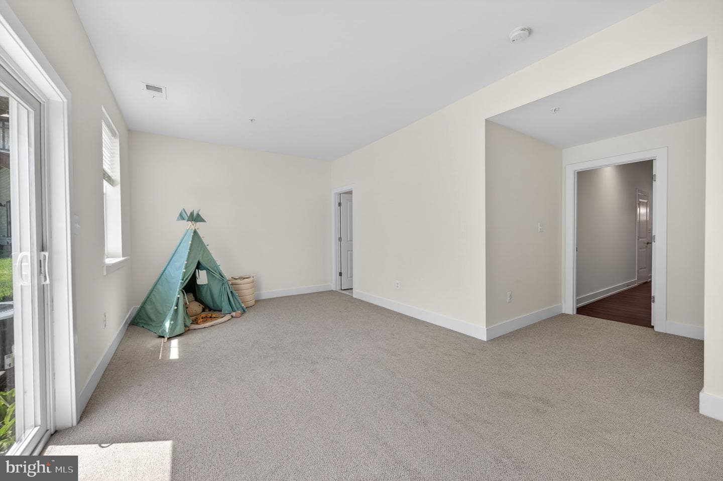 10047 Whitaker Way photo 36