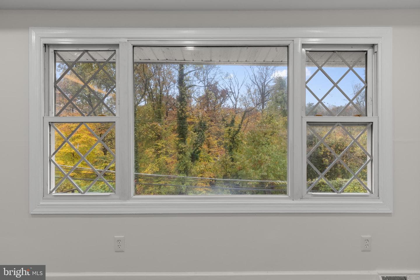5434 Dogwood photo 12
