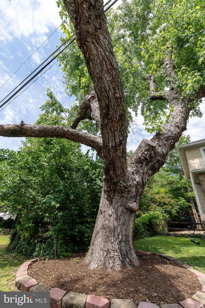 1823 Mayfield Avenue photo 30
