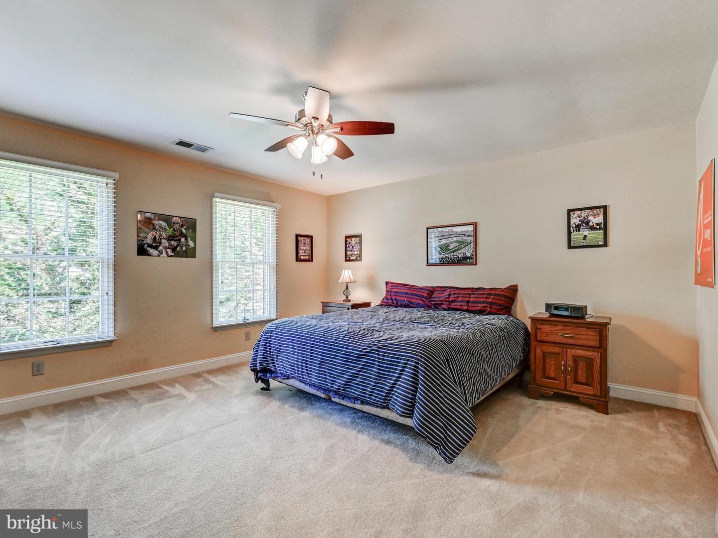 3 Chilhowie Court photo 58