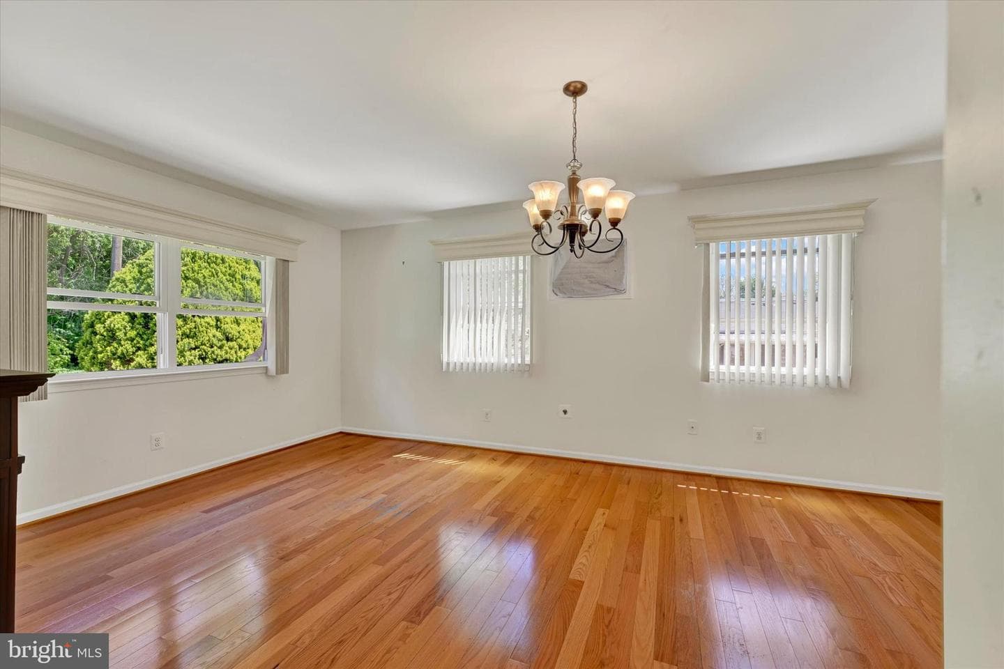 206 Melvin Avenue photo 4