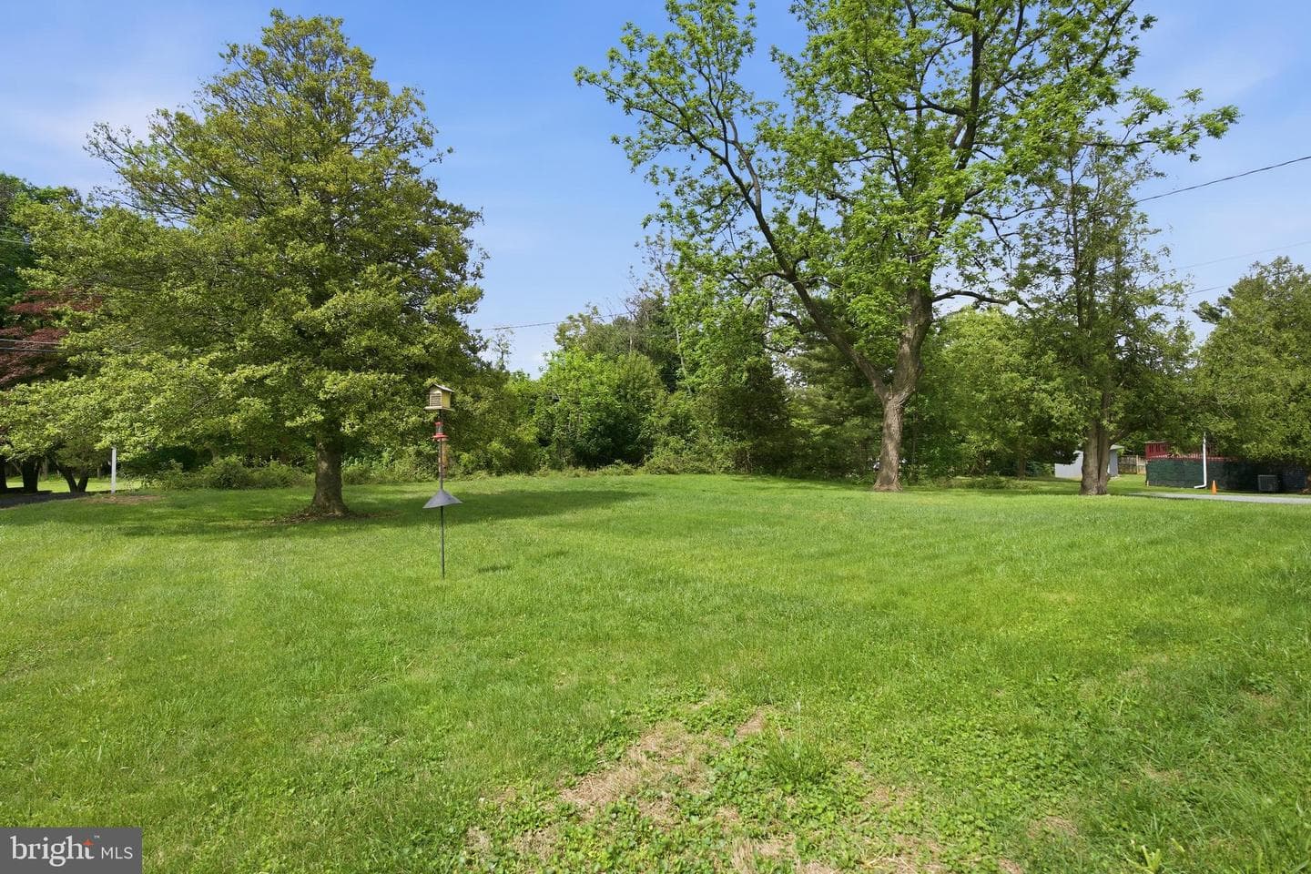 19 Timber Grove Road photo 41