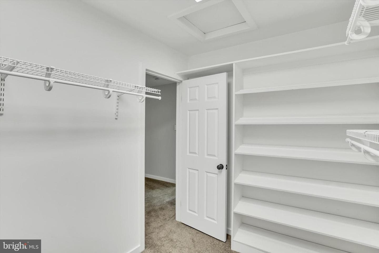 3909 Thoroughbred Lane photo 45