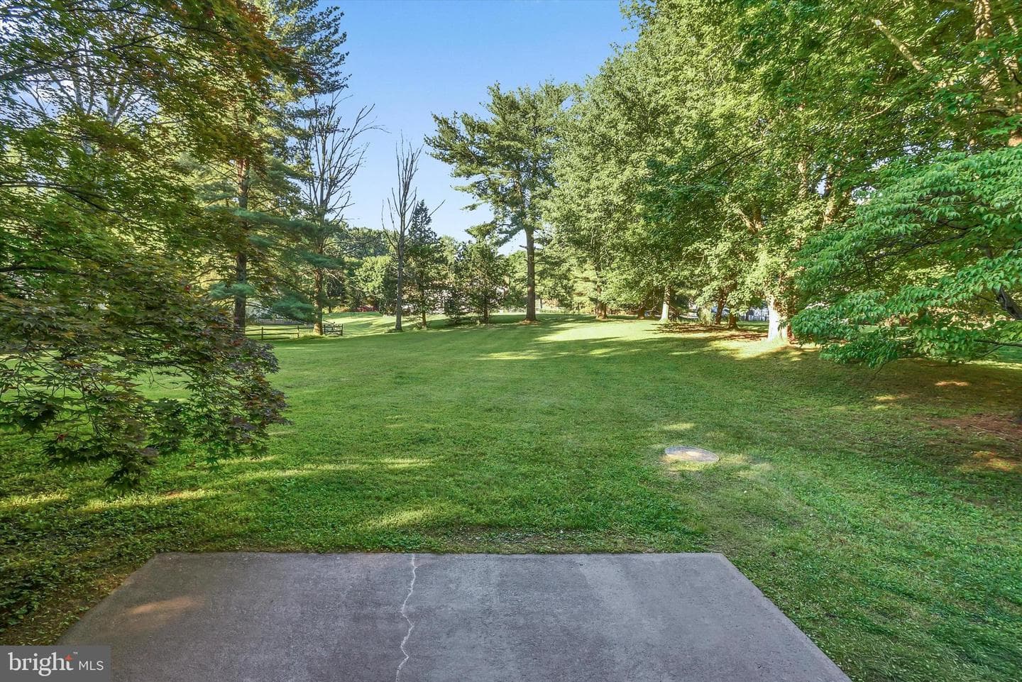 3909 Thoroughbred Lane photo 51