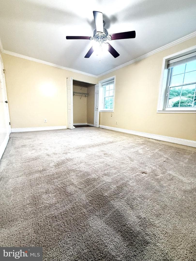 314 Hometown Way photo 48